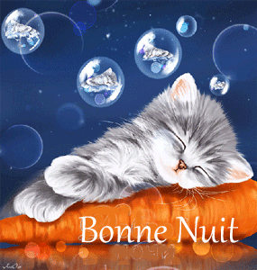 bonne nuit chat